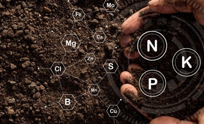 Proč jsou vícesložková hnojiva lepší než jednosložková-?